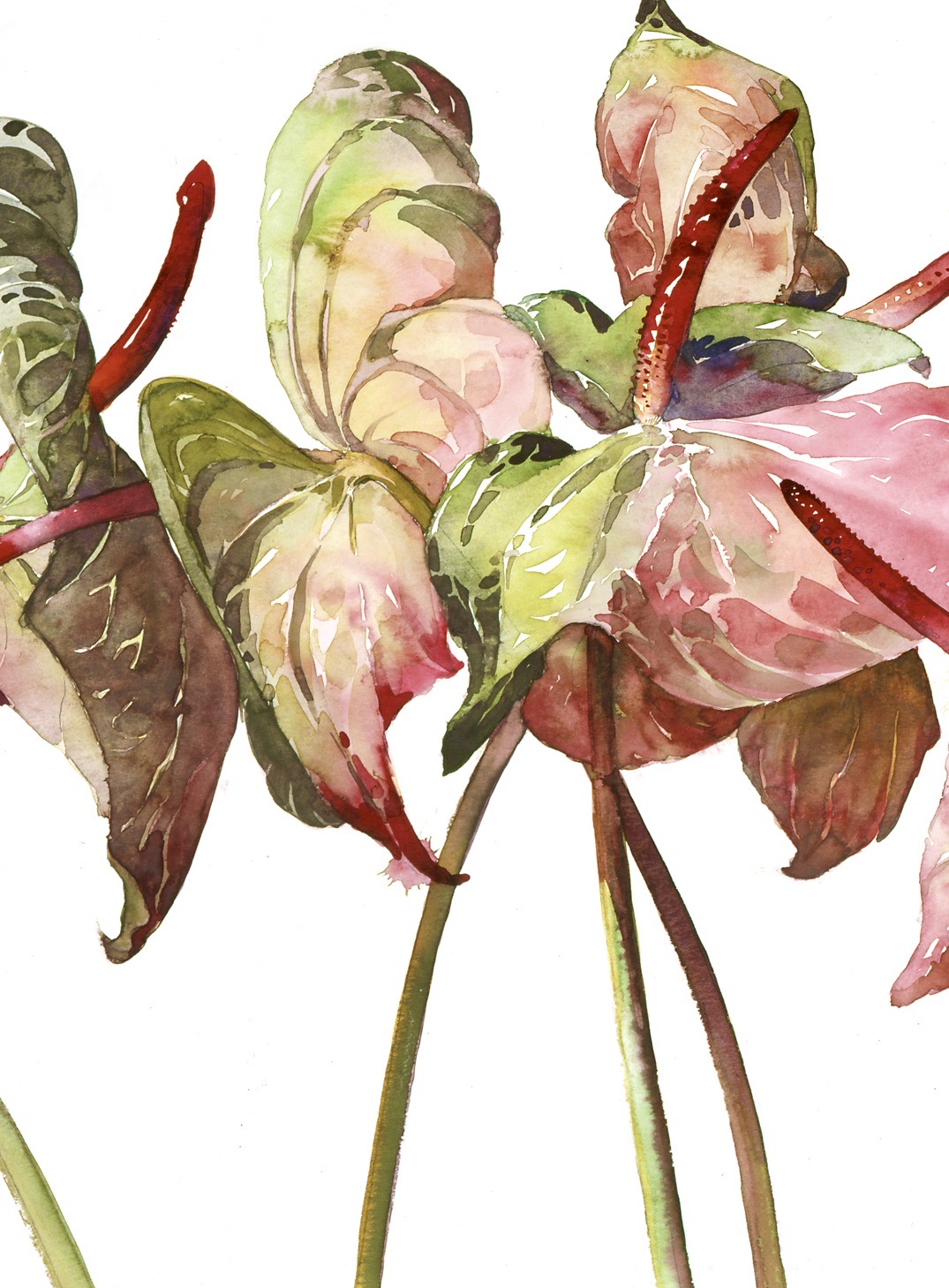erotische Geschichte Tea Time Blumen, Tea Time