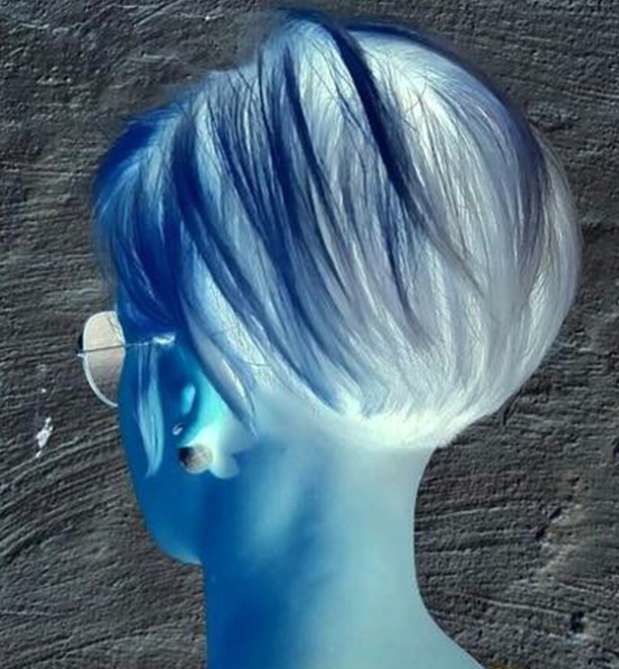 erotische Geschichte Belle de Jour Belle de Jour, blauer Frauenkopf von hinten