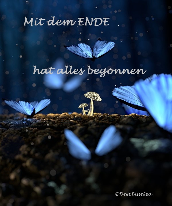 erotische Geschichte Mit dem ENDE hat alles begonnen (2.0) Mit dem ENDE hat alles begonnen (2.0), blaue Schmetterlinge und Pilze