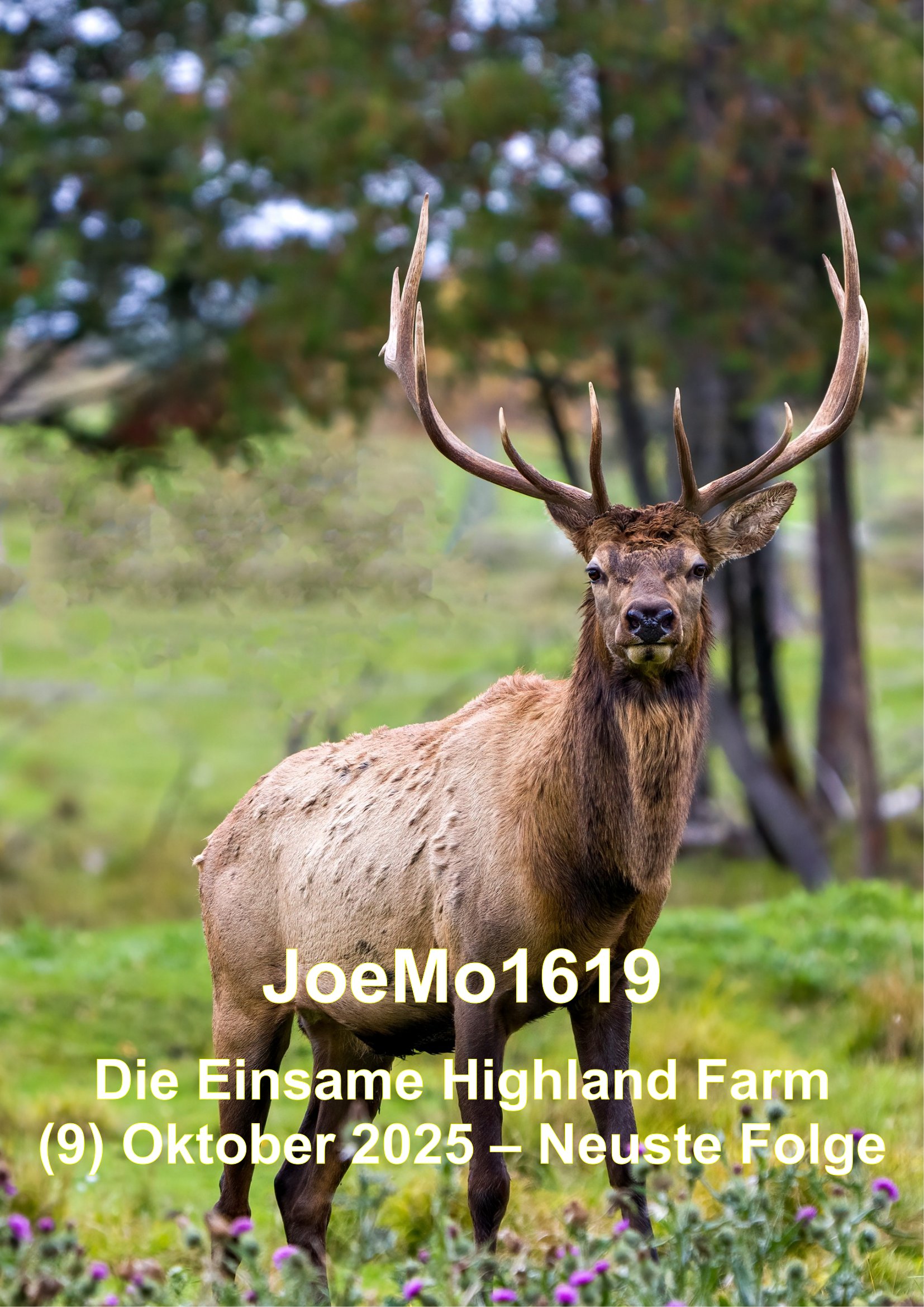Die einsame Highland Farm - Oktober 2025, 