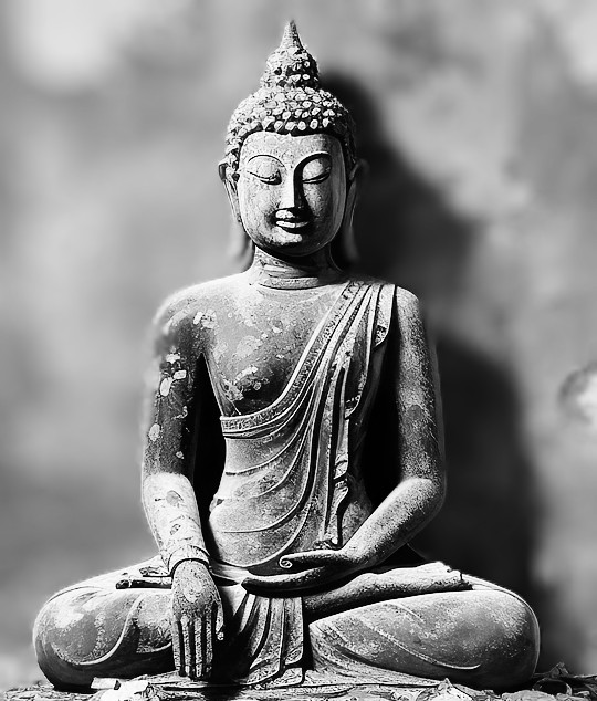 D/sRoses, erotische Geschichten, letters2feel.de