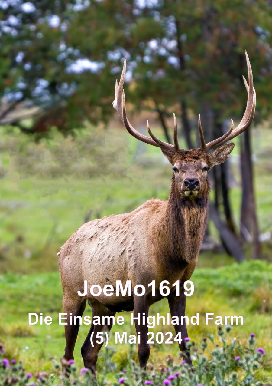 Die einsame Highland Farm - Mai 24