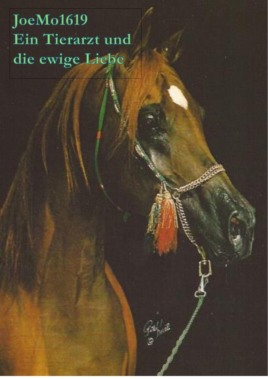 Ein Tierarzt und die ewige Liebe