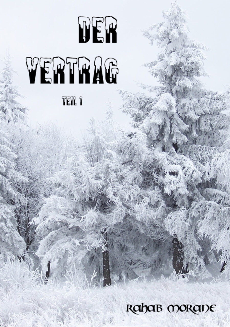 DER VERTRAG - Teil 1