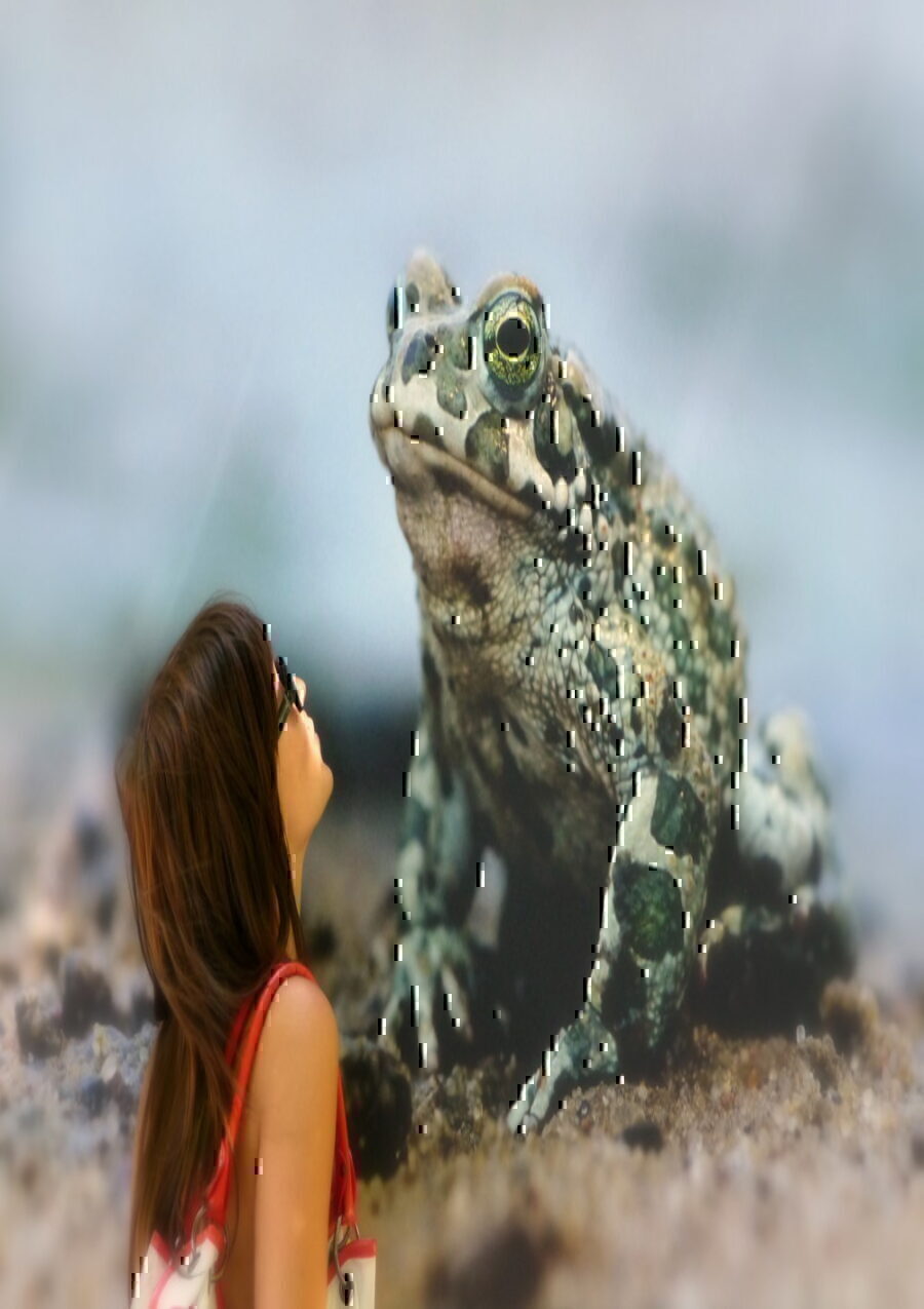 Froschkönig oder Die List