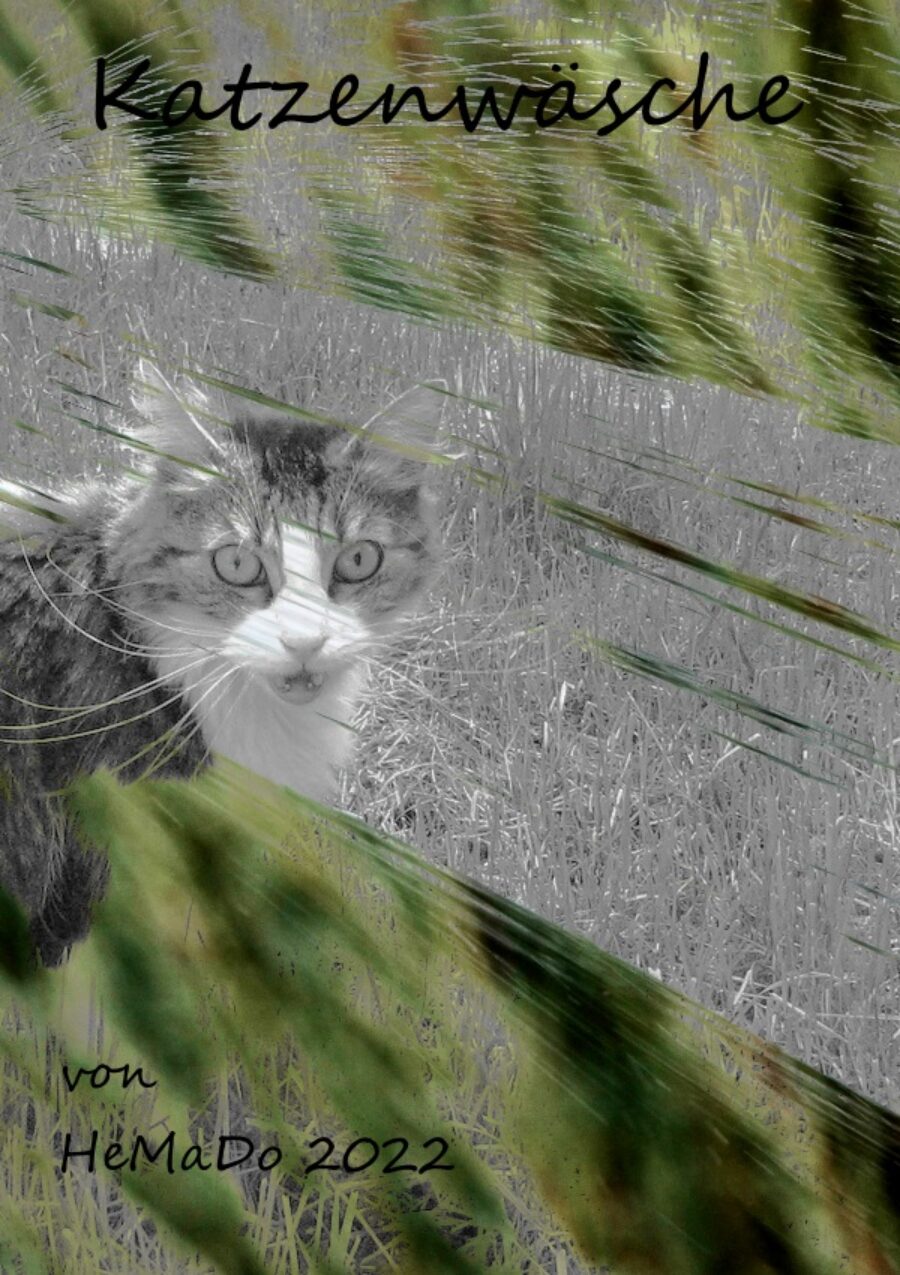 Katzenwäsche