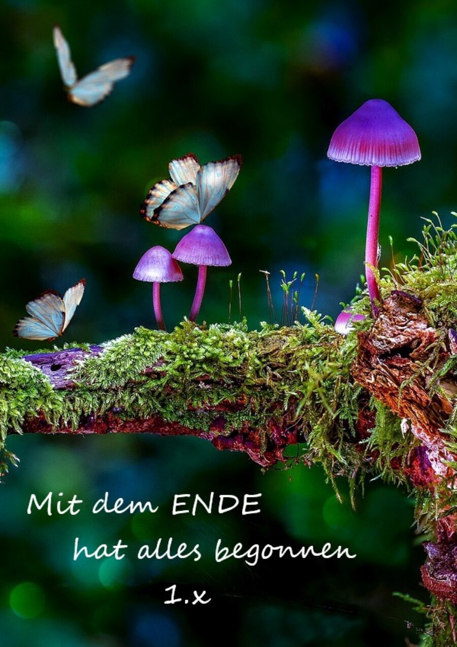 Mit dem ENDE hat alles begonnen (1.2)