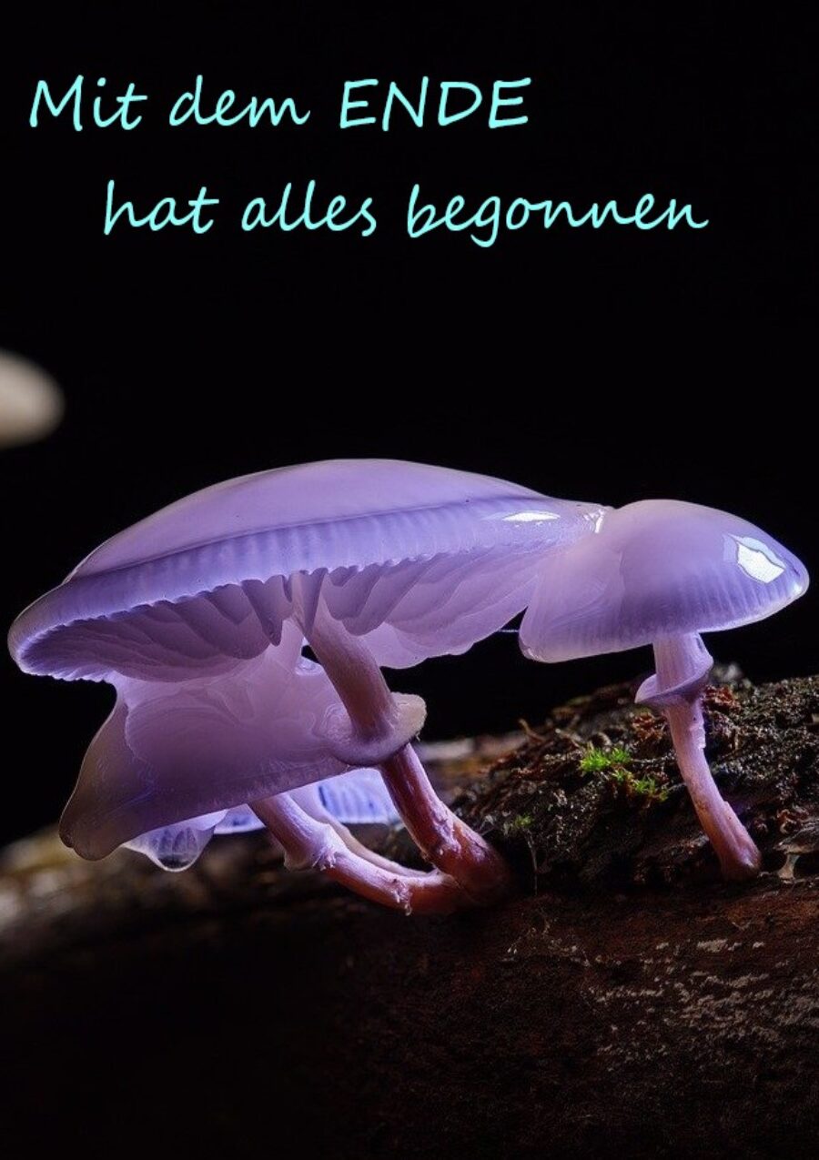 Mit dem ENDE hat alles begonnen (2.0) - Refurbished