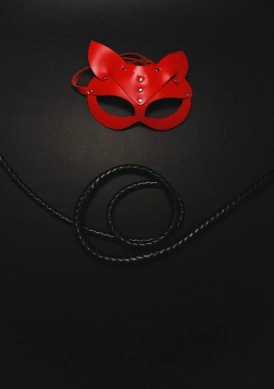 Das geheime Swingerleben einer Professorin, rote Maske und Peitsche